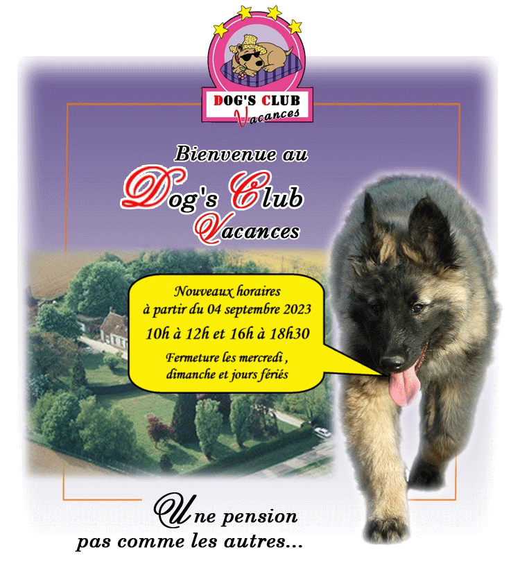 Bienvenue au Dog's Club Vacances