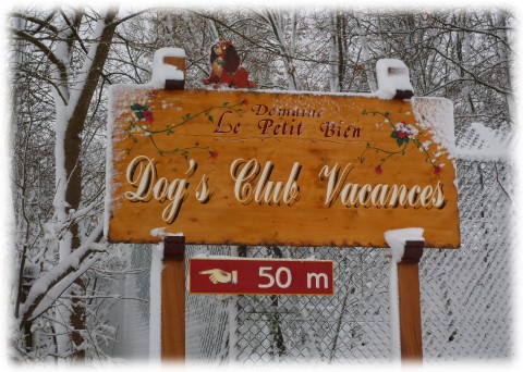 Dog's Club Vacances : une pension pas comme les autres... pour votre chien